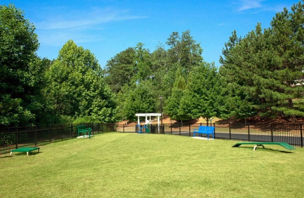 Dog Park